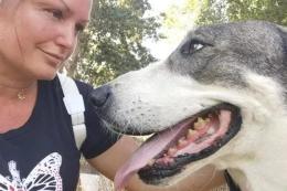 Hanno ucciso Asia, cane anti stalker