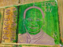 Disegna il Papa nei campi