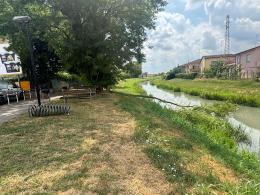 Alberi morti e panchine del tutto fatiscenti, scatta la protesta
