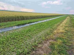 L’agricoltura che cura il territorio