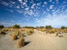 Spiagge libere: sempre meno