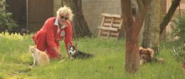 Viveva in auto per i suoi animali, muore a 59 anni