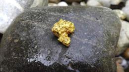 Oro nel Po. E non è uno scherzo
