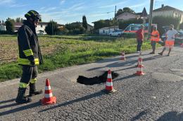 Voragine in strada: botto e paura