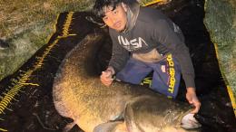 Un siluro da 2,40 metri pescato nel Piovego