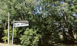 Uno scanner per schedare gli alberi