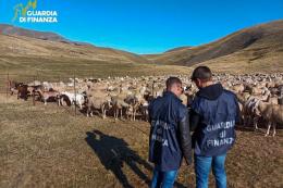 Colossale truffa sui fondi europei