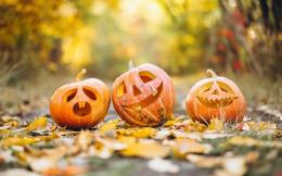 Halloween tra festa e tradizione: la tua opinione conta