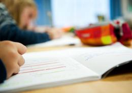 Nega l’accesso alla psicologa di un alunno autistico
