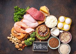 Proteine spiegata senza miti
