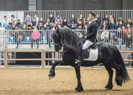 Fieracavalli 2025: al via la 127esima edizione a Verona