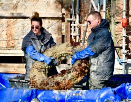 Gondolieri Sub in azione: dieci quintali di rifiuti tolti dai fondali