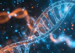 Verso i bambini geneticamente modificati