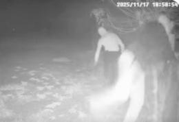 Scavalcano le recinzioni ed entrano in casa