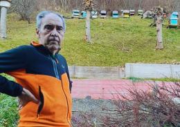 Il Comelico firma il miglior miele
