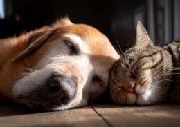 Igiene. Un problema?