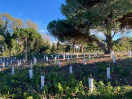 Oasi: i lavori ancora fermi 