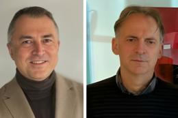 Precipitano e muoiono mentre cercano il vischio