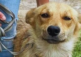 Beatrice, dalla guerra alla ricerca di una casa
