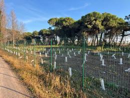 Oasi: “Manca un confronto serio”