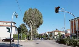 L&rsquo;anno dell&rsquo;addio al semaforo eterno