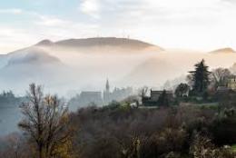 In vendita la nebbia dei Colli. In vasetto
