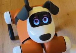 Ecco Alpha, il cane Robot 