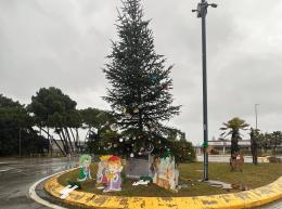 Vento e pioggia, a rischio l'albero del turista