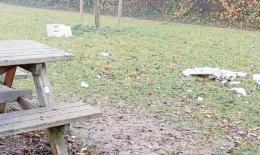 Parco Sassoli, luci e telecamere