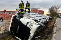 Tir camion di maiali si ribalta