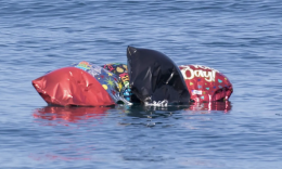 Venezia, Plastic Free Onlus promuove l&rsquo;ordinanza anti-plastica