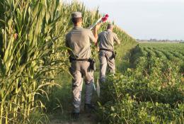 Tiene il cortile di casa come una discarica, il Comune impone lo sgombero