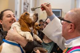 Benedetti, fedeli amici