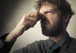 Cercasi &ldquo;annusatori&rdquo; 
