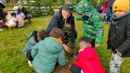 I bimbi mettono a dimora gli alberi per le api