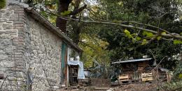 Famiglia nel bosco, il padre: &ldquo;Ci adegueremo alle regole&rdquo;
