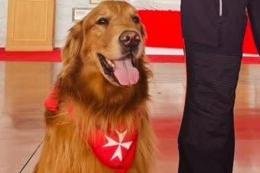 Addio Leo, dottore a quattro zampe