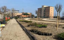 Arena, i lavori procedono spediti