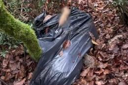 Cagnetta uccisa, chiusa in un sacco e abbandonata