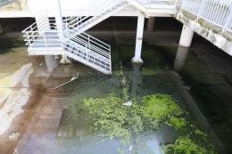 Un nuovo acquitrino all&rsquo;ex Le Torri