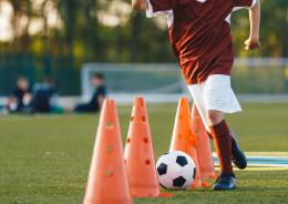 Insulti razzisti e ululati