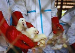 Lombardia: primo caso in Europa
