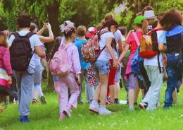 Met&agrave; degli studenti dice no
