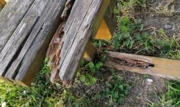 &ldquo;Qui ci sentiamo abbandonati&rdquo;