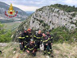 Cane bloccato su una parete, salvato dai vigili del fuoco

