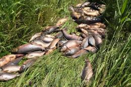 Lo scempio dei bracconieri del Po