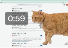 Il gatto che ferma lo scrolling
