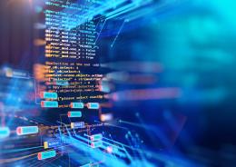 Allarme truffe, arrivano i numeri a tre cifre 
