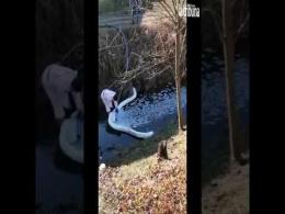 Migliaia di litri di prosecco nel fiume a causa di un guasto
