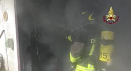 Gatto rimane bloccato in un incendio: ci pensano i vigili del fuoco a salvargli la vita  [VIDEO]